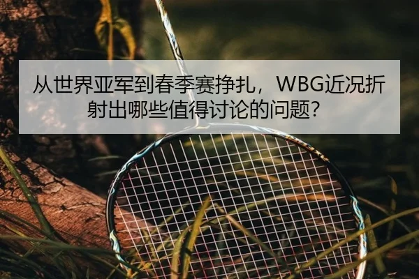 从世界亚军到春季赛挣扎，WBG近况折射出哪些值得讨论的问题？